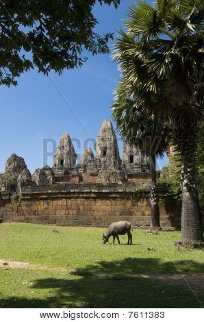 Świątyń Angkor