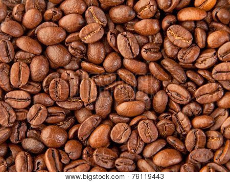 Whole Coffee Beans