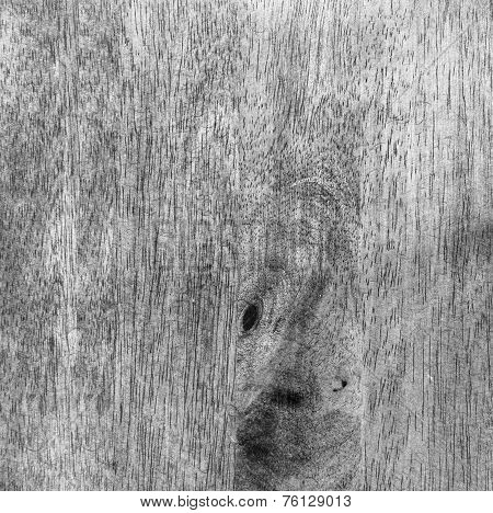Hard Wood Texture Background