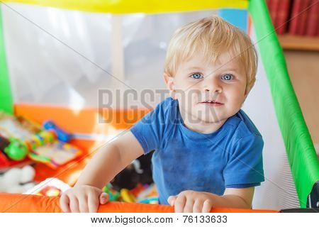 Cute Little Baby Boy Playing In Colorful Playpen, Indoors