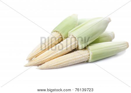 A Baby Corn Isolated On A White Background
