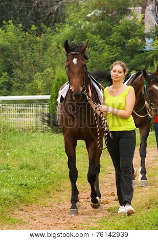 The Girl And Horse
