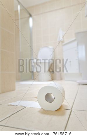 Roll Of Toilet Paper