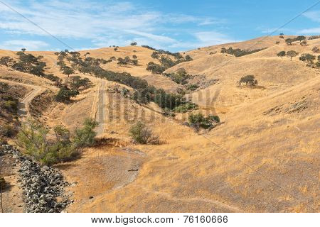 Pacheco Pass
