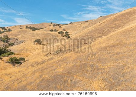 Pacheco Pass