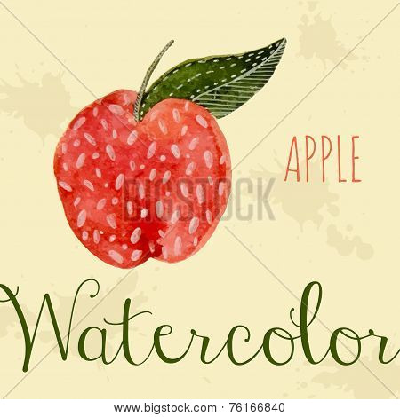 Hand Drawn Style Watercolor Apple. Nature