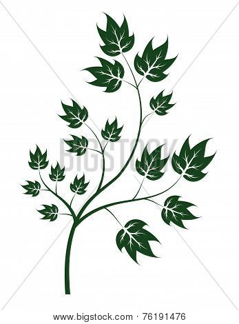 vector brunch of tree