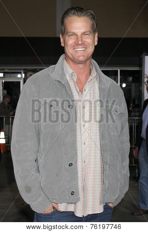 LOS ANGELES - NOV 3:  Brian Van Holt at the Dumb and Dumber To Premiere at the Village Theater on November 3, 2014 in Los Angeles, CA