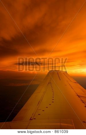 Fly fløj