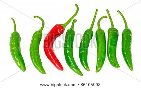 Green And Red Chili Pepper Isolated On A White Background