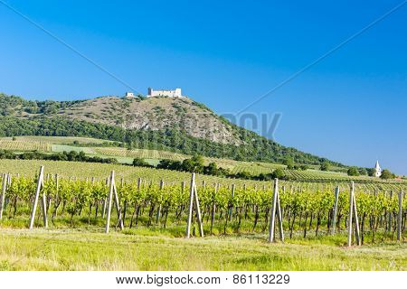 ruins of Devicky Castle with vineyards, Czech Republic