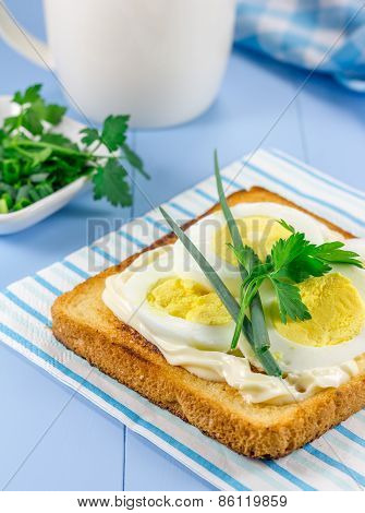 Breakfast Sandwich With Eggs, Parsly And Green Onion