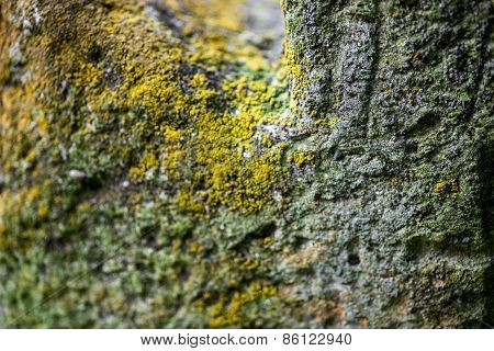 Moss-grown Surface Of The Old Stone Cross