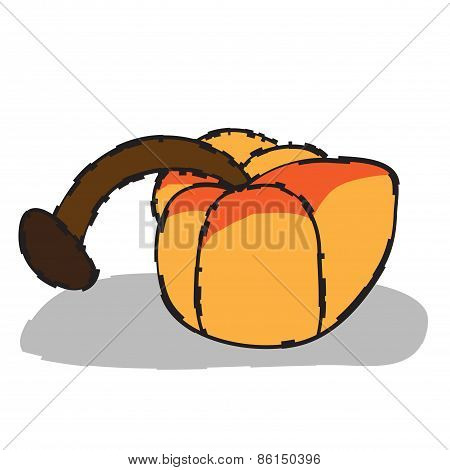 Pumpkin  illustration  fruit