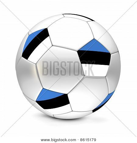 축구 볼/축구 에스토니아