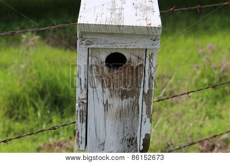 Weathered Birdhouse