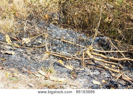 The Traces Of Burning In The Mountains