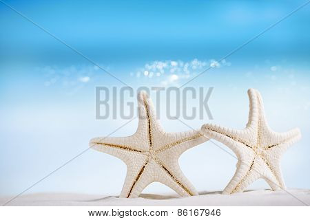 white starfish with ocean,white sand beach, sky and seascape, shallow dof