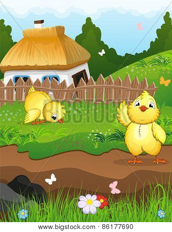 Chickens Near The House