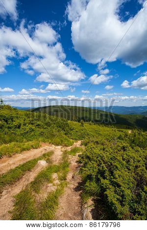 Mountain view from the top of Goverli, Carpathians