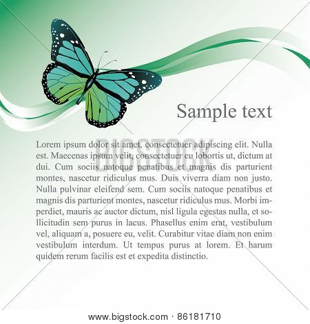 Butterfly