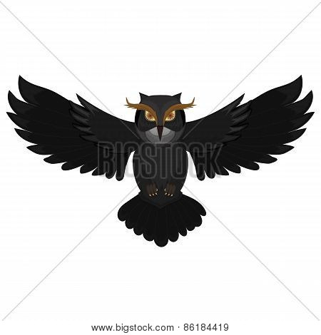 Dark owl