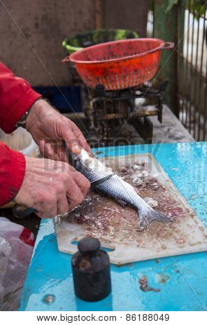 Closeup to fisherman hands cleaning the fresh sea bass fish on a piece of wood