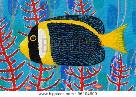 Scribbled Angelfish (chaetodontoplus Duboulayi)