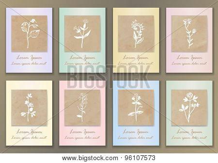 Set Vintage Posters with hand drawn herbs