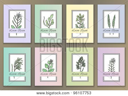 Set Vintage Posters with watercolor herbs