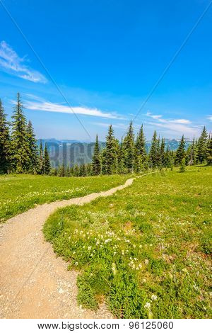 Beautiful Mountain Trail. Blackwall Peak Trail at Manning Park in British Columbia. Canada.