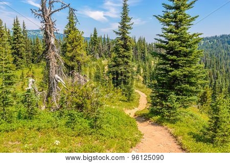 Beautiful Mountain Trail. Blackwall Peak Trail at Manning Park in British Columbia. Canada.