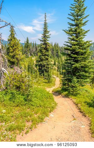Beautiful Mountain Trail. Blackwall Peak Trail at Manning Park in British Columbia. Canada.