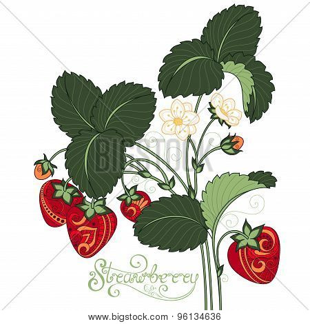 Vector Colored Fruit Background