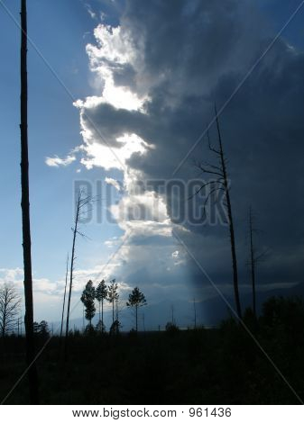 Temporale