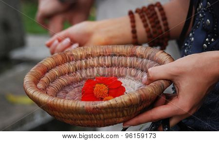 red flower