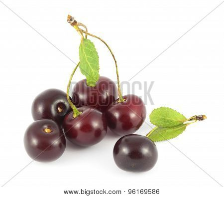 Cherries