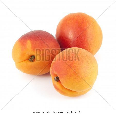 Apricots