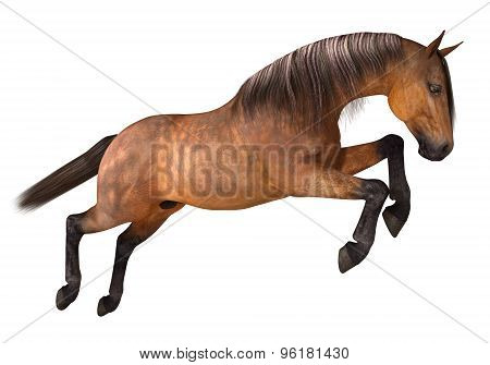 Render 3d Horse Running