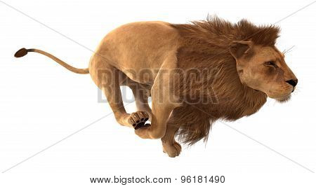 Render lion running