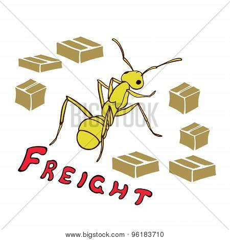 Freight