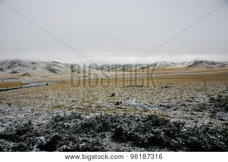 Nuorgai grassland in China