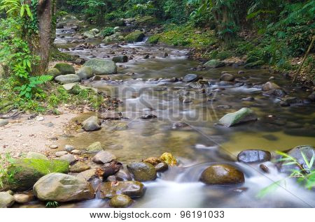 Mountain stream