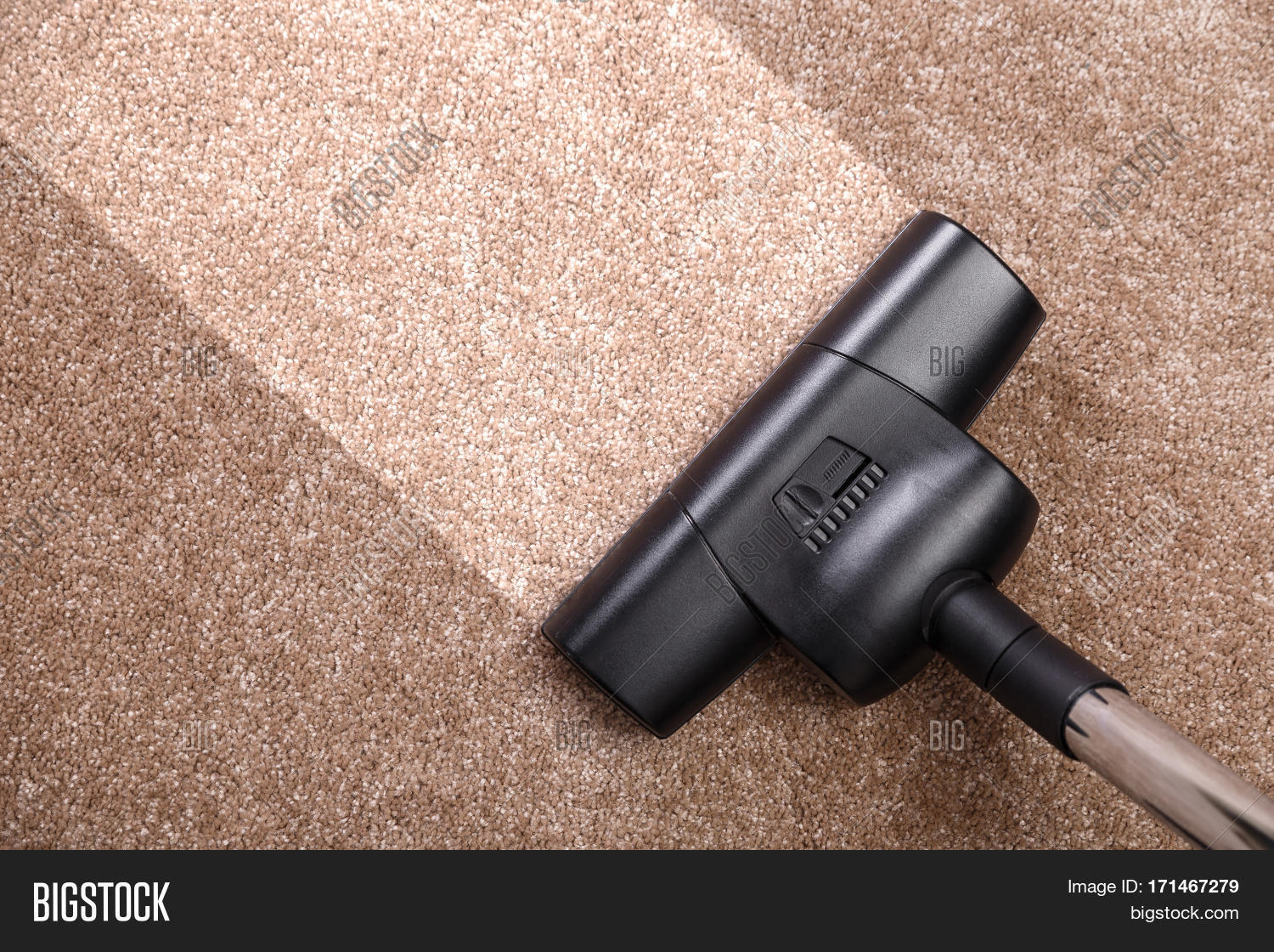 Vacuuming Carpet Image & Photo (Free Trial) Bigstock