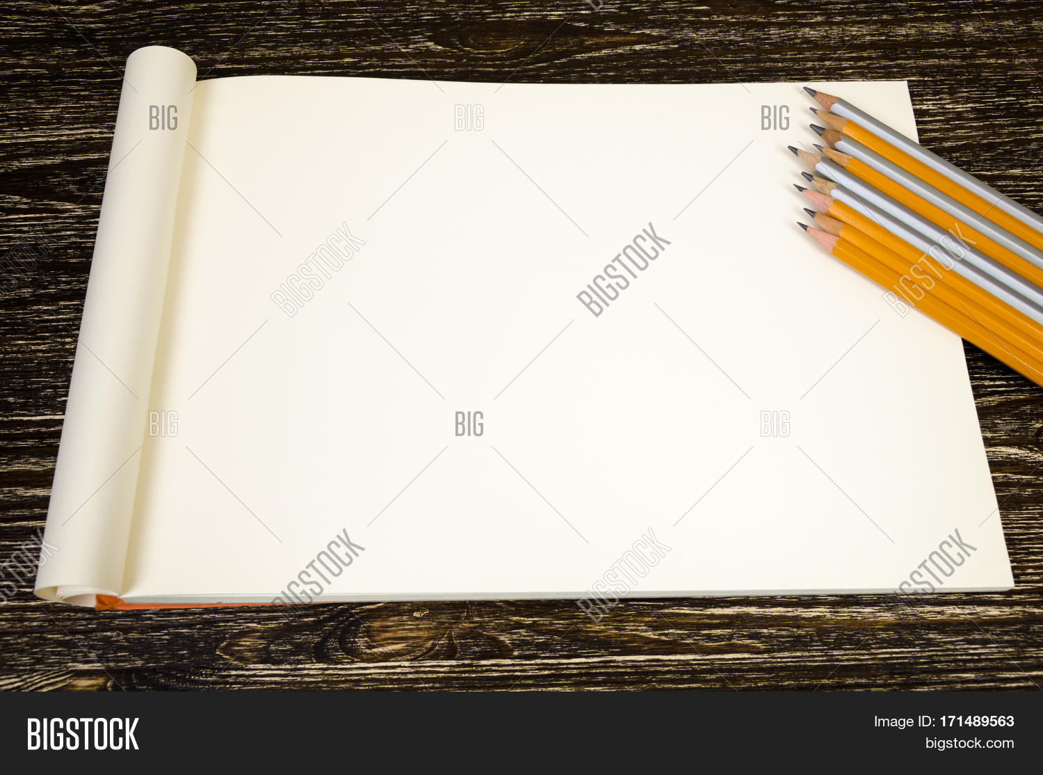 Blank Pattern Labels Image & Photo (Free Trial) | Bigstock