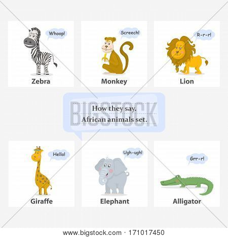 African animals collection vector illustration.How the say animals