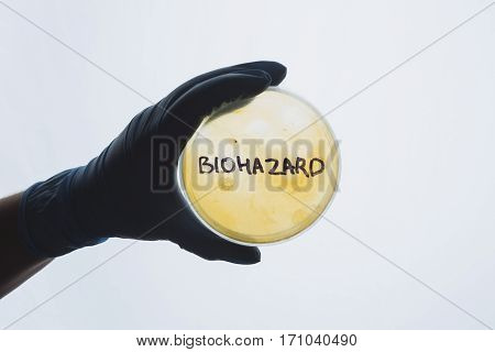 Word biohazard on Petri dish with bacterial infection test sample. Medical test for dangerous intestinal infectious disease. Contaminated water food concept. Disease outbreak control prevention danger