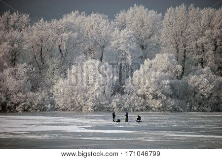 Beach frozen river a lot of frosty trees and a lot of snow and ice on the figures.