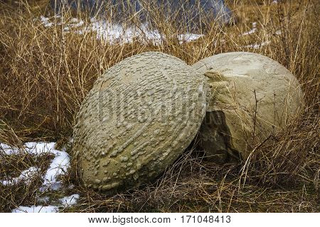 Rare Rock Formations Of (trovantii) Of Costesti, Valcea, Romania