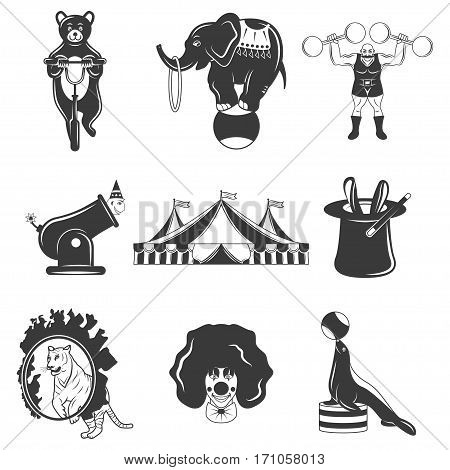 Set of circus monochrome icons, design elements isolated on white background. Flat style. amazing show